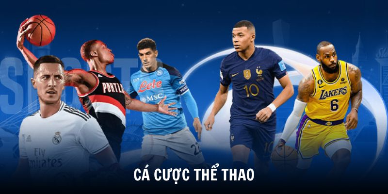 Cá cược thể thao với hàng ngàn trận đấu